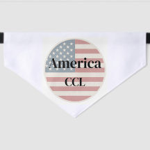 Celebrate America's 250th Anniversary