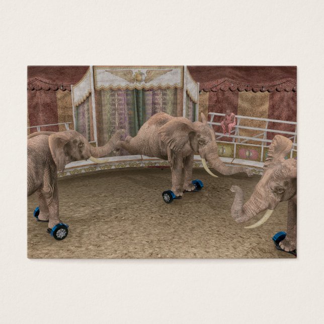 Célebres elefantes de circo (Frente)