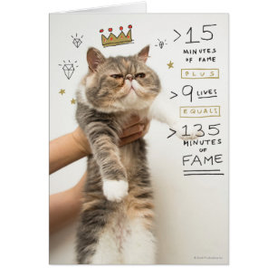 Celebridad del gato de Internet