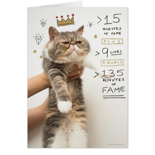 Celebridad del gato de Internet (Frente)