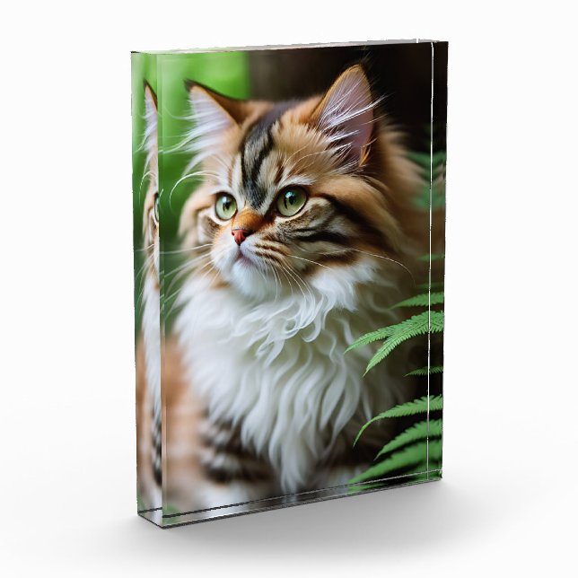 Celia The Cubby Persian Cat, Bloque de fotos (Izquierda)