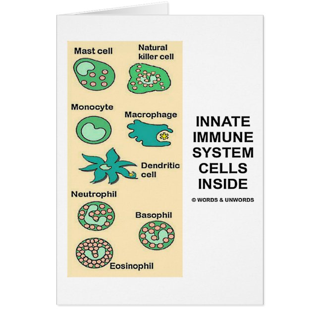 Células naturales del sistema inmune dentro (Frente)
