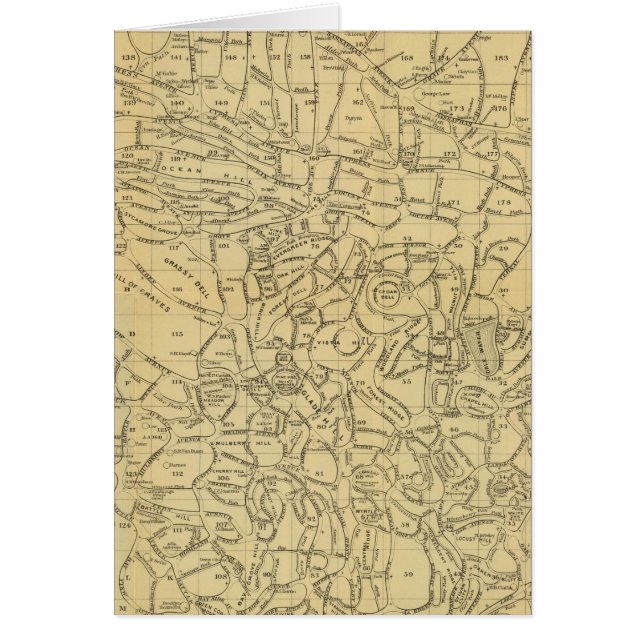 Cementerio de madera verde (Frente)