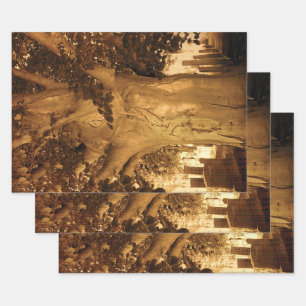 Cementerio Vintage Sepia Hoja de Árbol