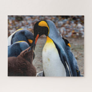 Cena de pingüino con familia, rompecabezas