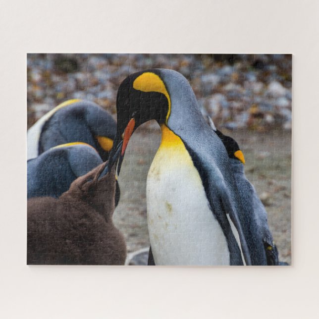 Cena de pingüino con familia, rompecabezas (Horizontal)