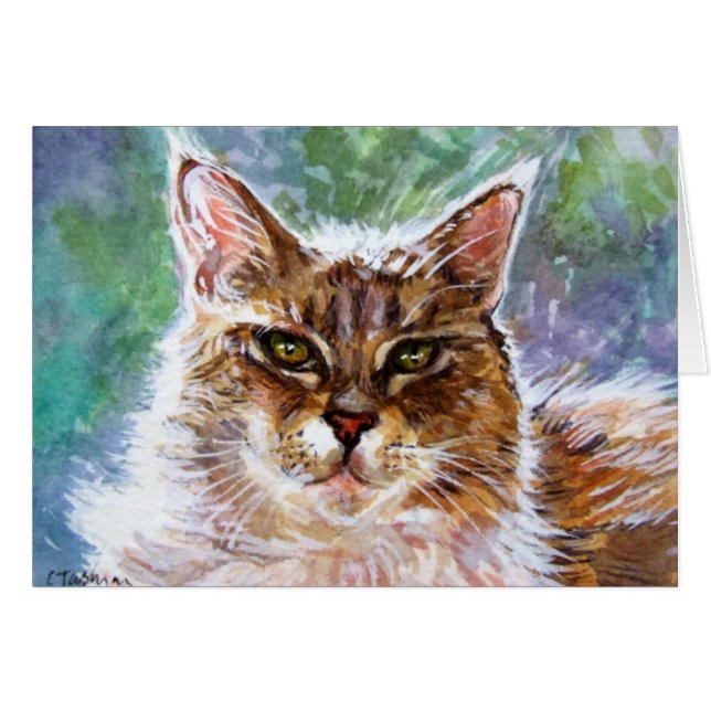 Centellea el gato (Anverso (Horizontal))