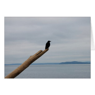 Centinela del cuervo