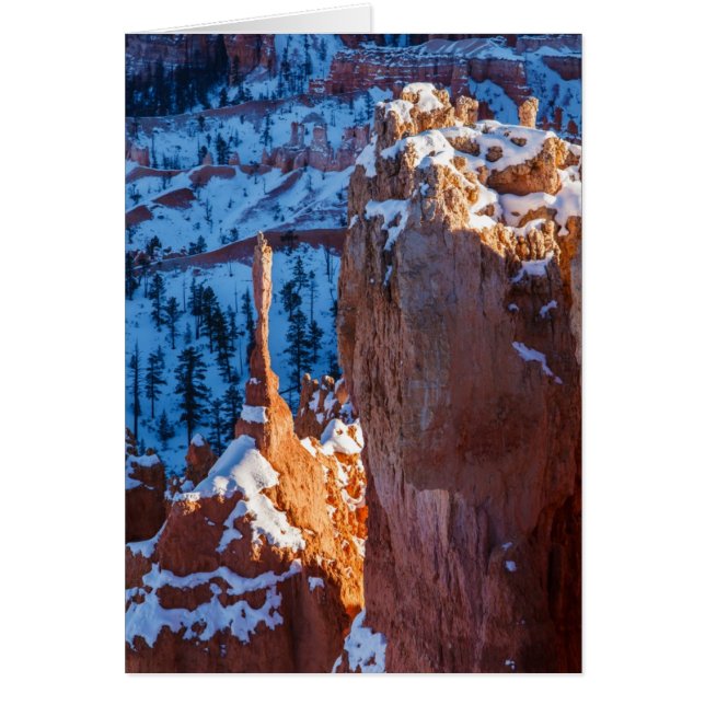 Centinela del invierno (Frente)