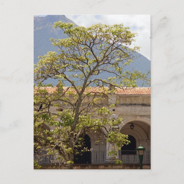 Central Park, Antigua postal (Anverso)