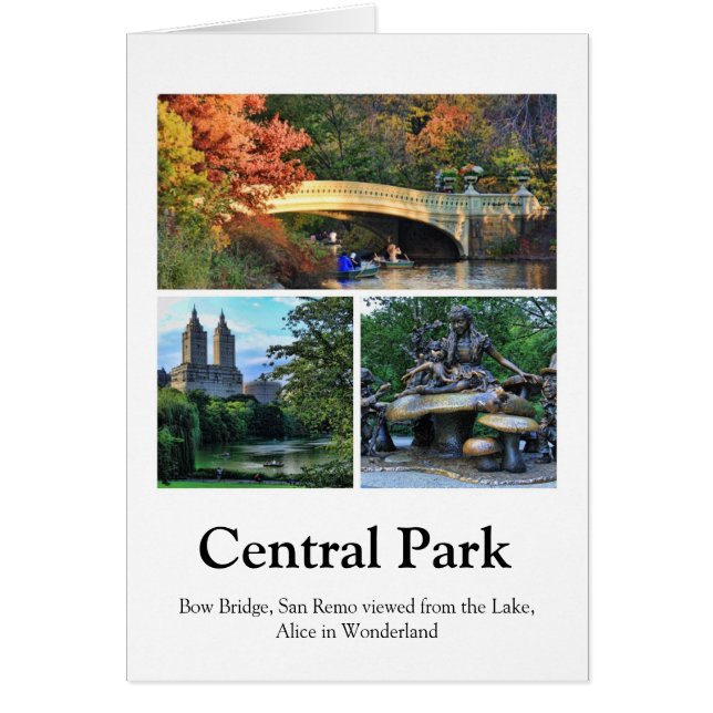 Central Park: Arquee el puente, San Remo, Alicia (Frente)