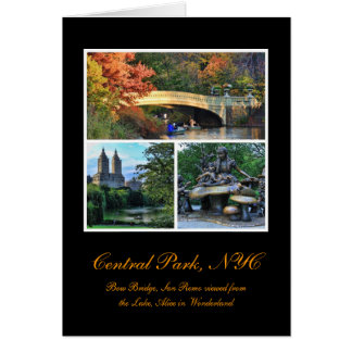 Central Park: Arquee el puente, San Remo, Alicia