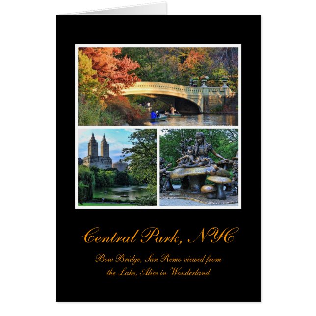 Central Park: Arquee el puente, San Remo, Alicia (Frente)