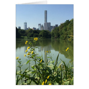 Central Park Lake Flowers Skyscraper Nueva York NY