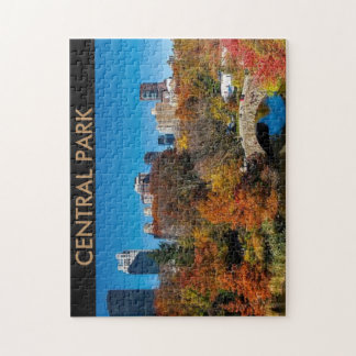 CENTRAL PARK PUZZLE