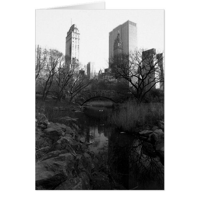 Central Park South Skyline NYC (Frente)