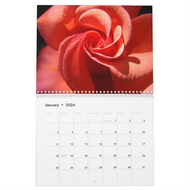 Centro color de rosa del calendario de mis regalos (Jan 2026)