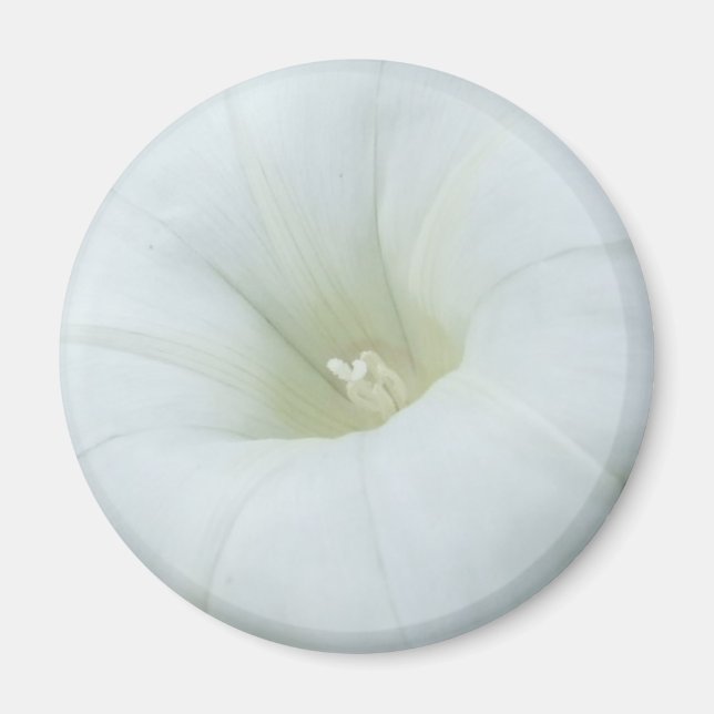 Centro de Flor Blanca Imán (Frente)