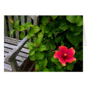 Centro de jardinería #30 de Wegerzyn