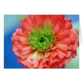 centro verde ranunculus