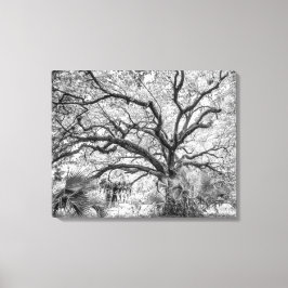 "Century Oak" Arte mural en blanco y negro