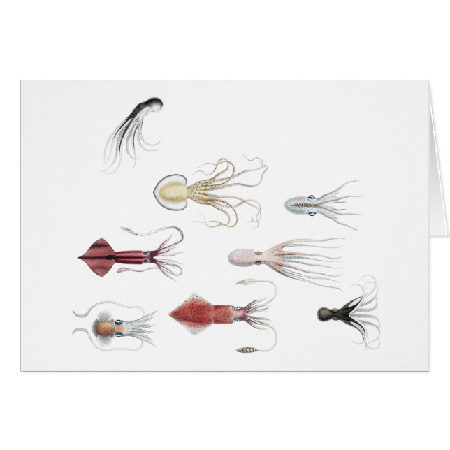 Cephalopodified (Anverso (Horizontal))