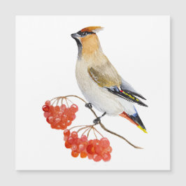 Cepillo de aves de la selva acuarela