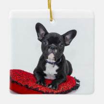 Adorno de acrílico personalizado para la familia