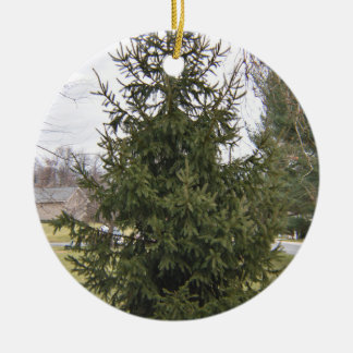 Cerámica Adorno de árbol de Navidad