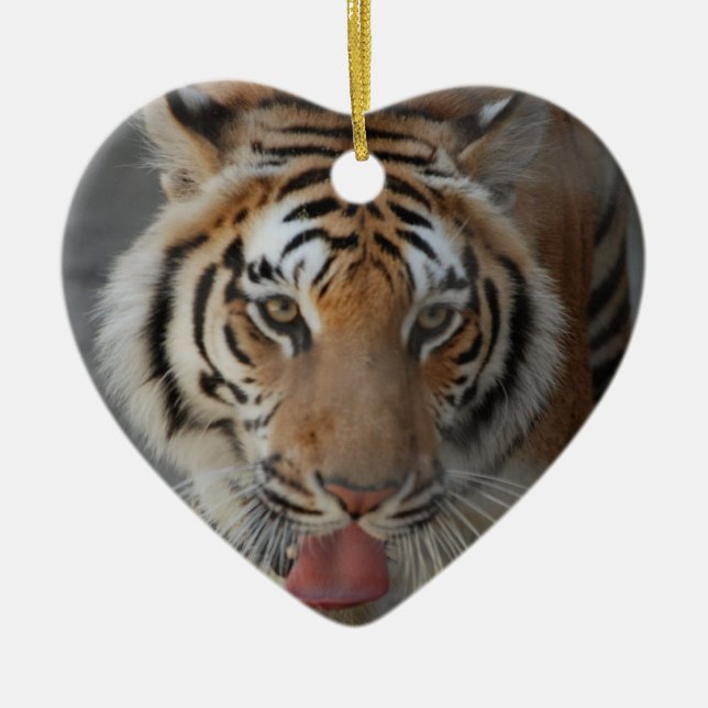 Cerámica Adorno de Besos de Tigre (Frente)