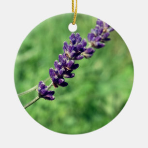 Cerámica Adorno de círculo de foto de tallo de lavanda