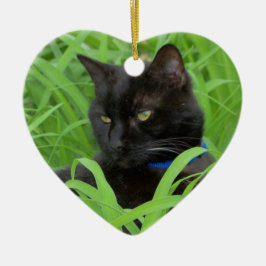 Cerámica Adorno de cumpleaños de gato negro de Bombay