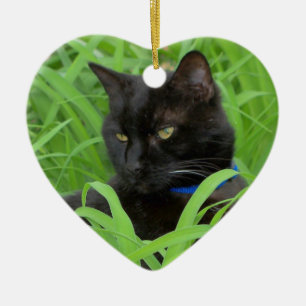 Cerámica Adorno de cumpleaños de gato negro de Bombay