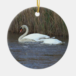 Cerámica Adorno de foto de cisne