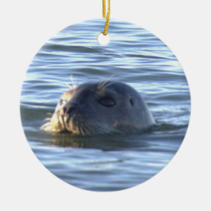 Cerámica Adorno de foto de foca
