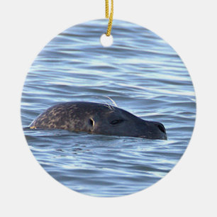 Cerámica Adorno de foto de foca