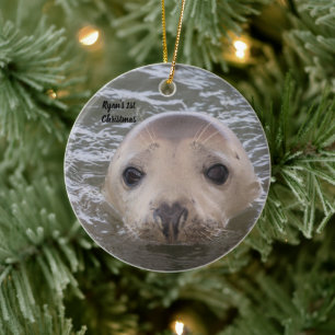 Cerámica Adorno de Foto de Foca Gris Adorable Personalizado