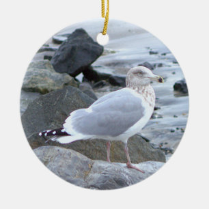 Cerámica Adorno de foto de gaviota