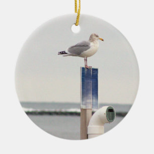 Cerámica Adorno de foto de gaviota