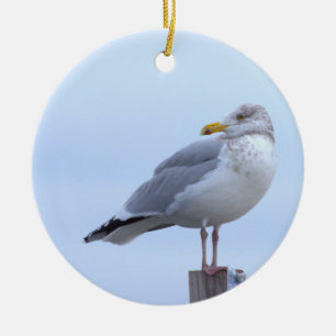 Cerámica Adorno de foto de gaviota