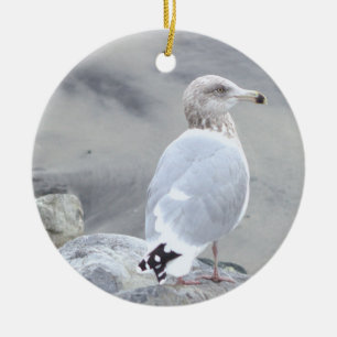 Cerámica Adorno de foto de gaviota