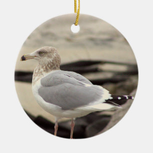 Cerámica Adorno de foto de gaviota