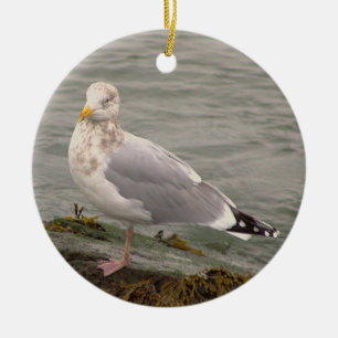Cerámica Adorno de foto de gaviota