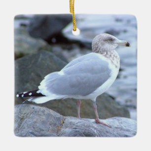 Cerámica Adorno de foto de gaviota