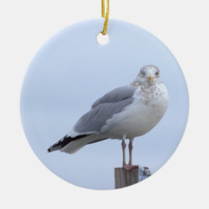 Cerámica Adorno de foto de gaviota