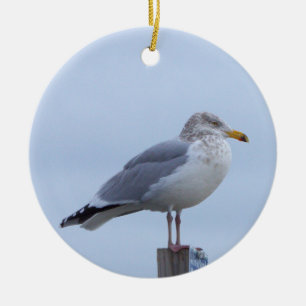 Cerámica Adorno de foto de gaviota