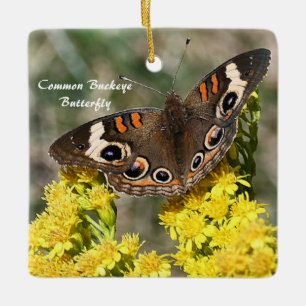 Cerámica Adorno de foto de mariposa Buckey común