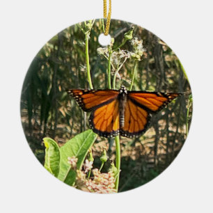 Cerámica Adorno de foto de mariposa monarca