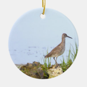 Cerámica Adorno de foto de pájaro