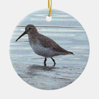 Cerámica Adorno de foto de pájaro